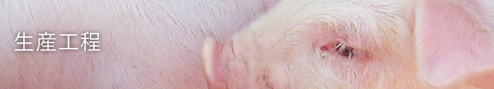 ���Y�H��